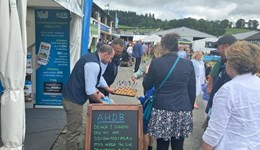 Royal Welsh Show